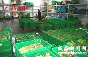 提升生鮮蔬菜配送離不開(kāi)塑料周轉筐