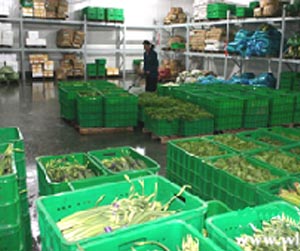 塑料周轉筐能用多少年？