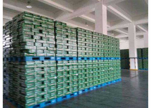 塑料托盤(pán)與木托盤(pán)的比較